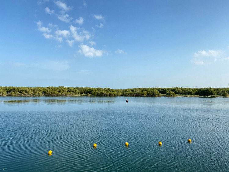 懸浮物濃度計 懸浮物濃度計