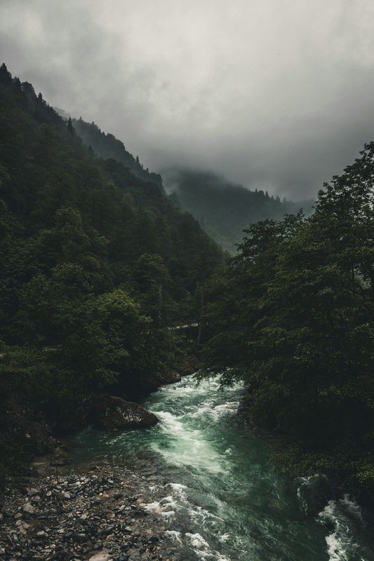 在線COD監(jiān)測(cè)儀 在線COD監(jiān)測(cè)儀